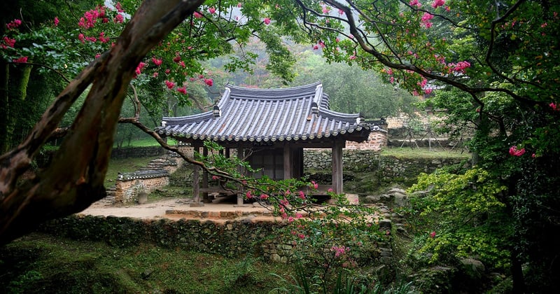 Petit jardin de ville : 15 astuces et inspirations pour l'aménager